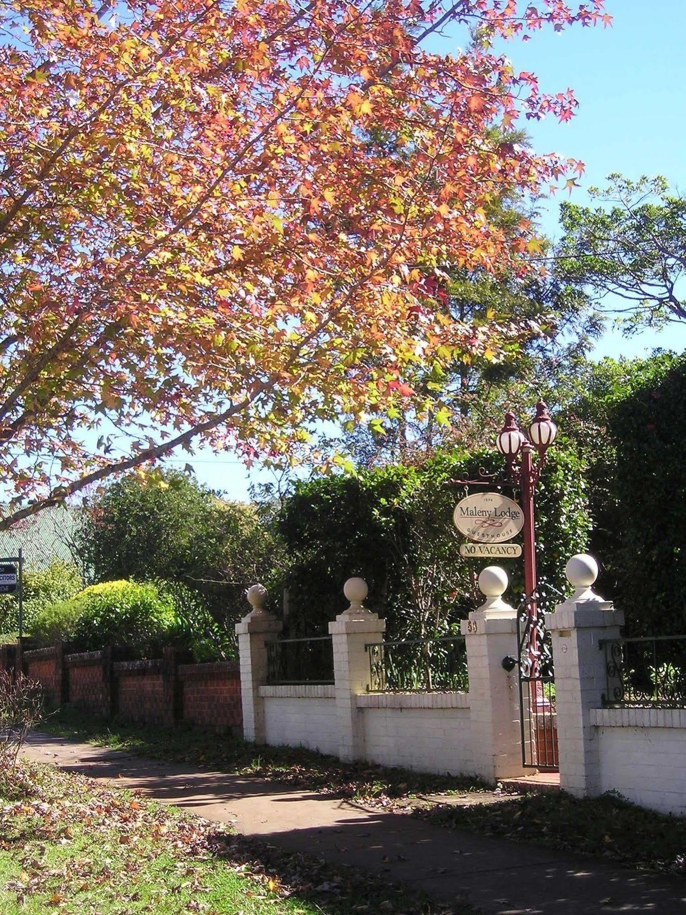 Maleny Lodge エクステリア 写真